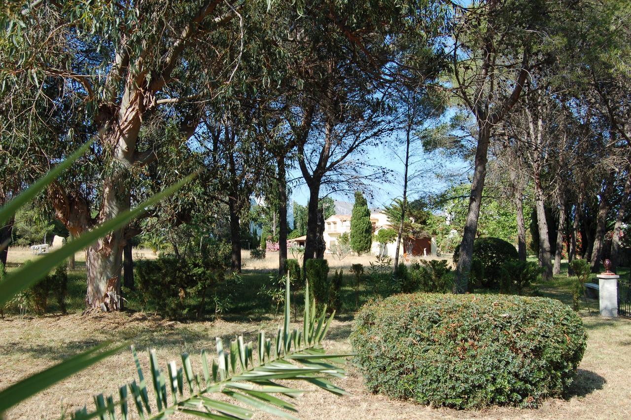 Puerto De Pollensa And Apartments, With Private Mountain Ideal For Runners, Trailers,near Approximately 5 Minutes Walking, Unique Experience In A Ullal Old Typical Mallorca House With Private Mountain And Near To The Beac Appartement *
